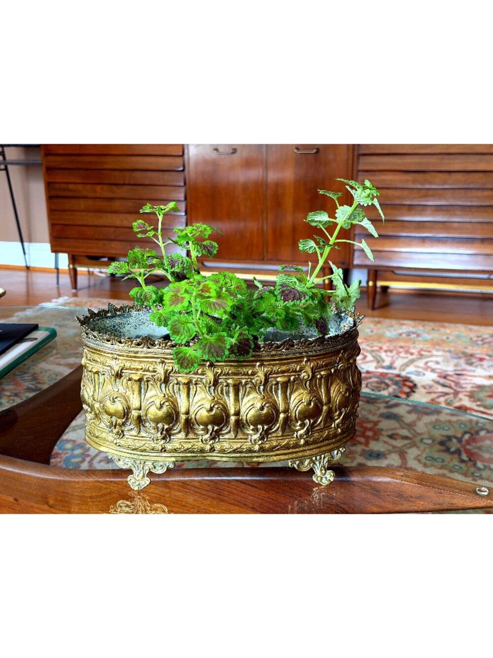 Antique French brass jardiniere planter from 19th century
